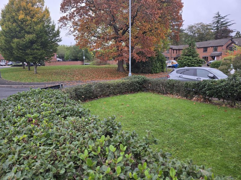 Bedlam Wood Road Northfield